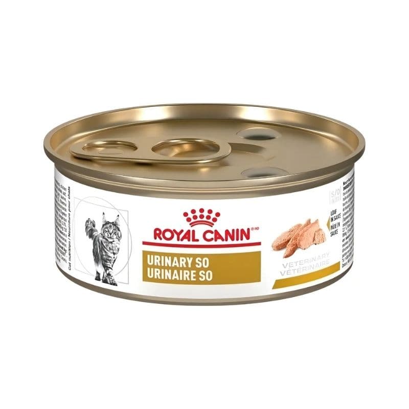 1147e2c53ab21e6730e8dd816881f46a_1782763463.jpg