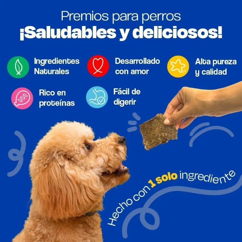 1a0e5f644d8bcf4fd4dbd055d1efe018_1788986762.jpg