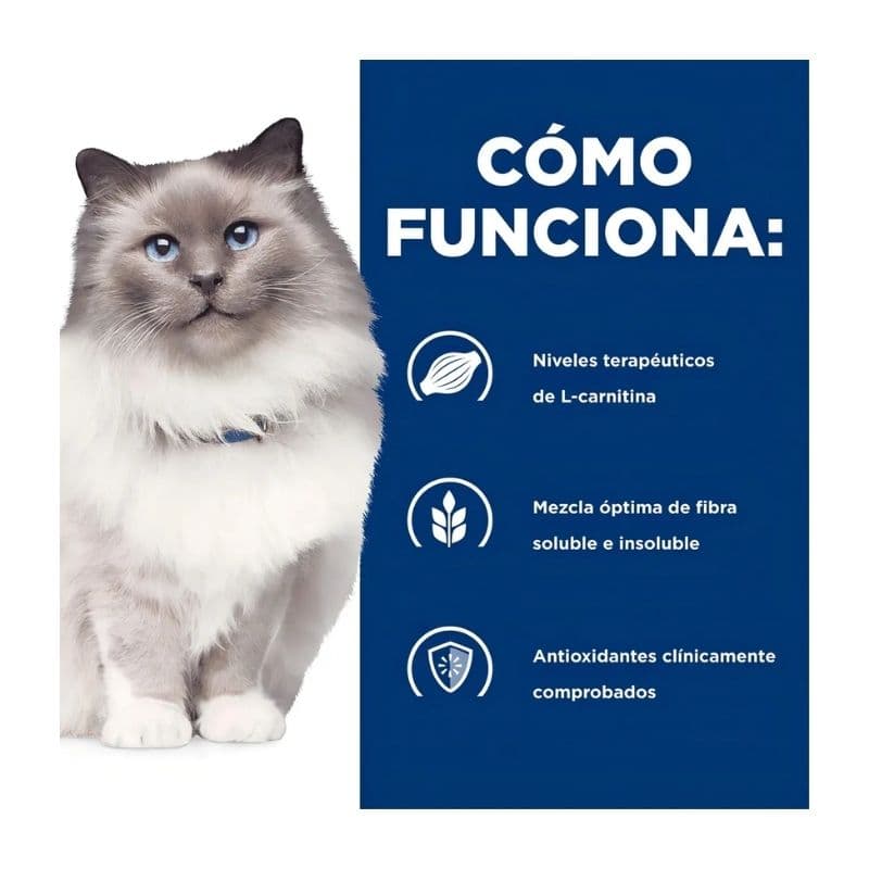 1da4a061cae9a5e83eff0404a30e99c6_1774544998.jpg
