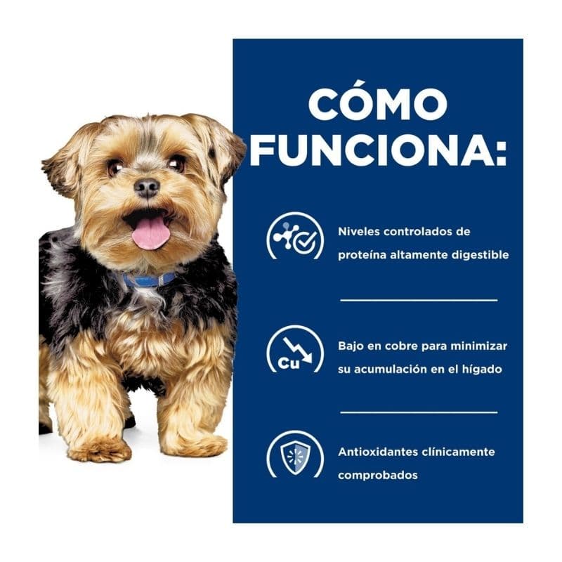 230bf01a9a054cbd8389edcc7a143811_1774550071.jpg