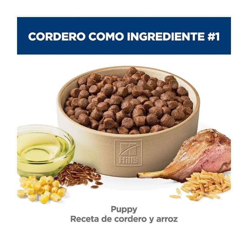 230bf01a9a054cbd8389edcc7a143811_1774653425.jpg