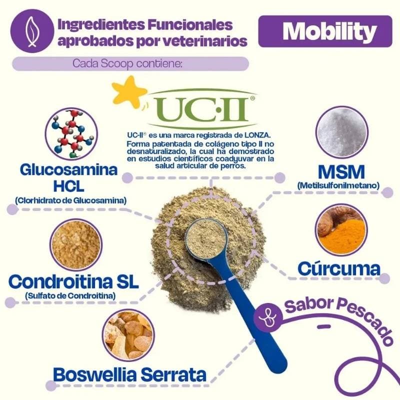 32f33534a9c393c64fbdccdc9341617a_1788982280.jpg