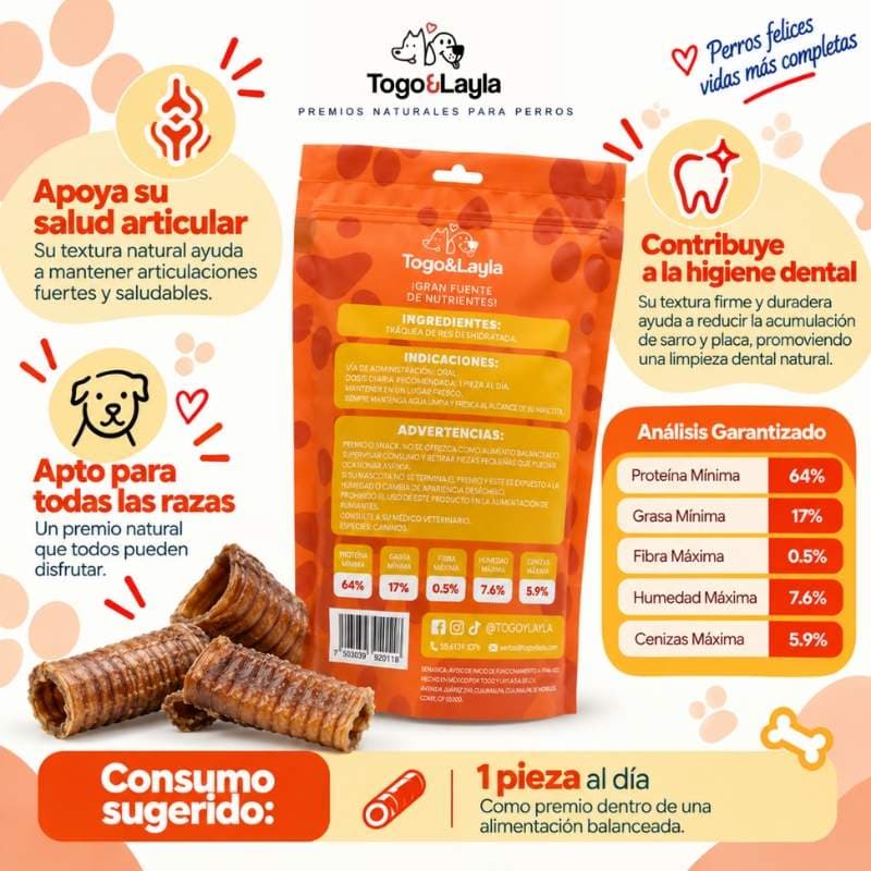 99861c61b89352e8f5af2422daea7e90_1792776662.jpg