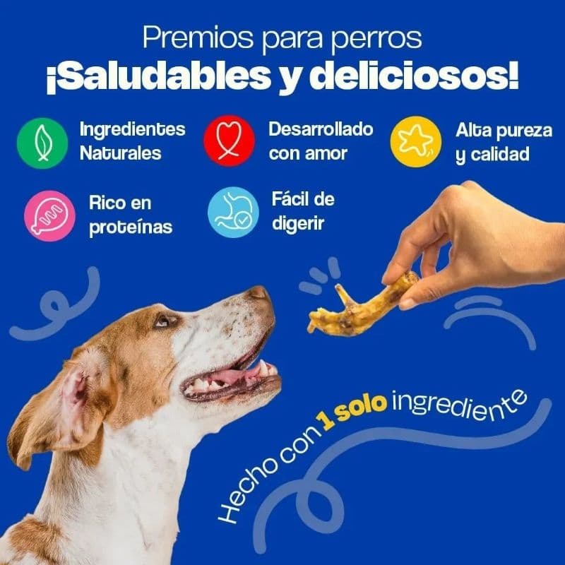a33df4dc57ee97d7c52ee0c0983101db_1788987023.jpg