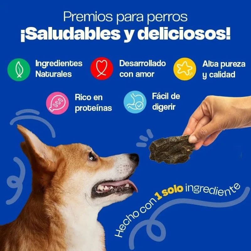 b3020e9eafaa85b7b722fea95b7266e9_1788987496.jpg