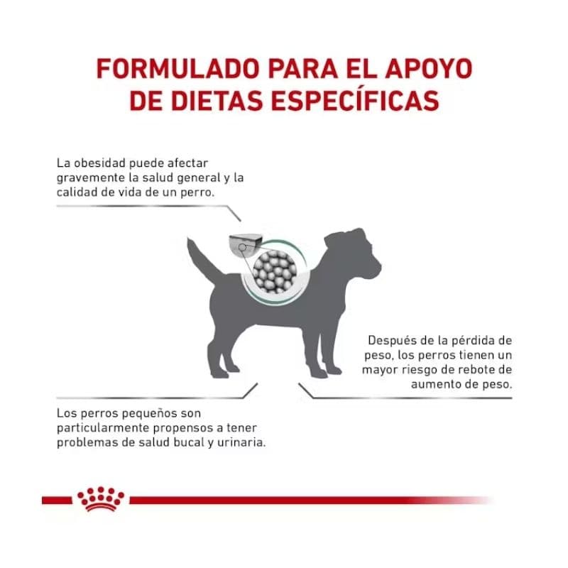 b4e2d10abcf3fabaa399b24bd17fac30_1771454010.jpg