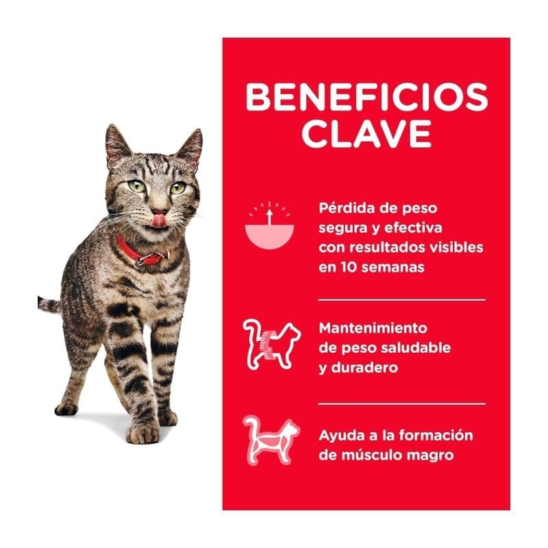df19a3a9d4a04d147ddcaf4a16510f5e_1774556964.jpg