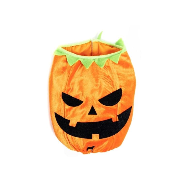 f3ccdd27d2000e3f9255a7e3e2c48800_1760938944.jpg