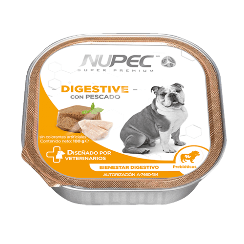 19100_NUPEC___Digestive_H__medo_1603472910_500x500.png